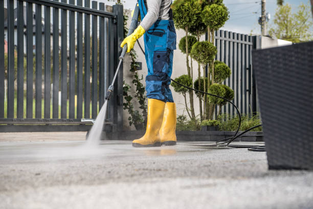 Best Vinyl Siding Pressure Washing in Alsip, IL